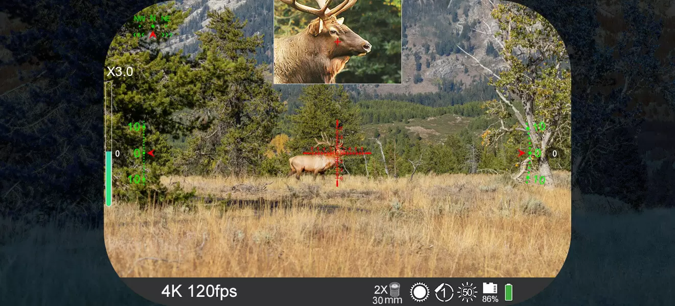 PICTURE-IN-PICTURE MODE